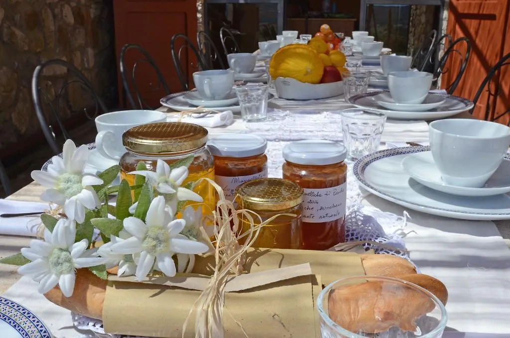 Alloggio per agriturismo Tenuta Macetona Celle sul Rigo